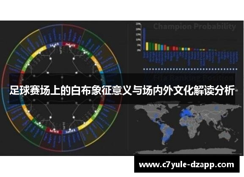 足球赛场上的白布象征意义与场内外文化解读分析
